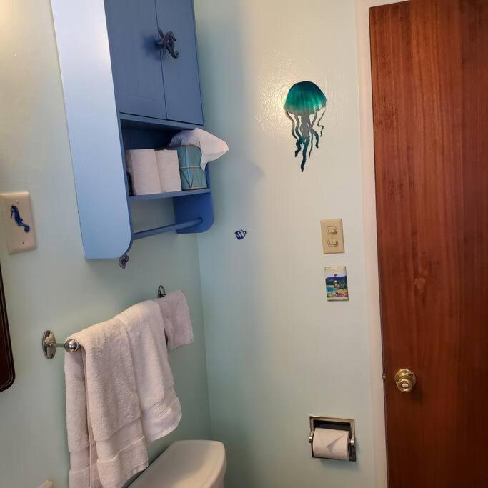 Sweet 2 Bedroom Close To U Of Oregon & Track! Eugene Eksteriør bilde