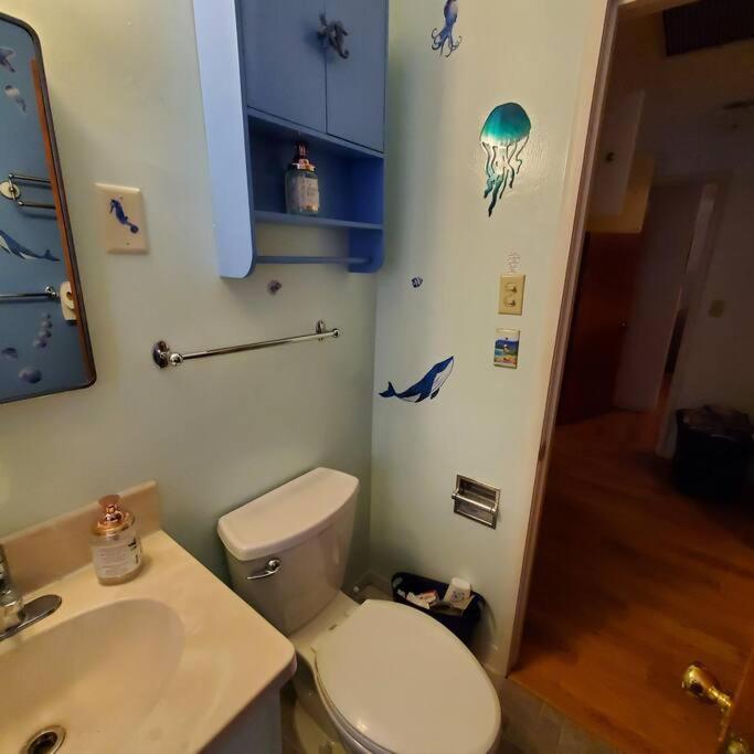 Sweet 2 Bedroom Close To U Of Oregon & Track! Eugene Eksteriør bilde